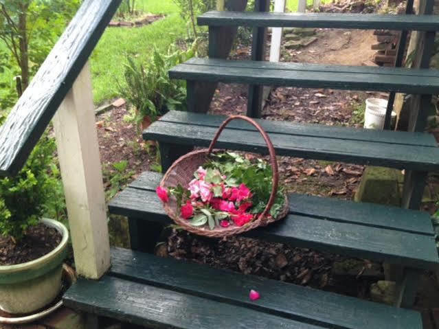 Magnolia Cottage Bed And Breakfast 나체스 외부 사진